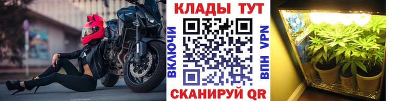 Купить наркотик аптеки Печора МЕГА ТОР ГЕРОИН МЕФ COCAIN А ПВП Канабис