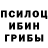 Галлюциногенные грибы Cubensis Valeriia Vakhniuk
