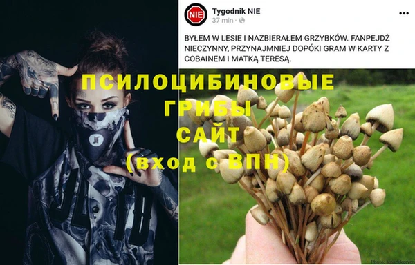 ALPHA PVP Михайловка